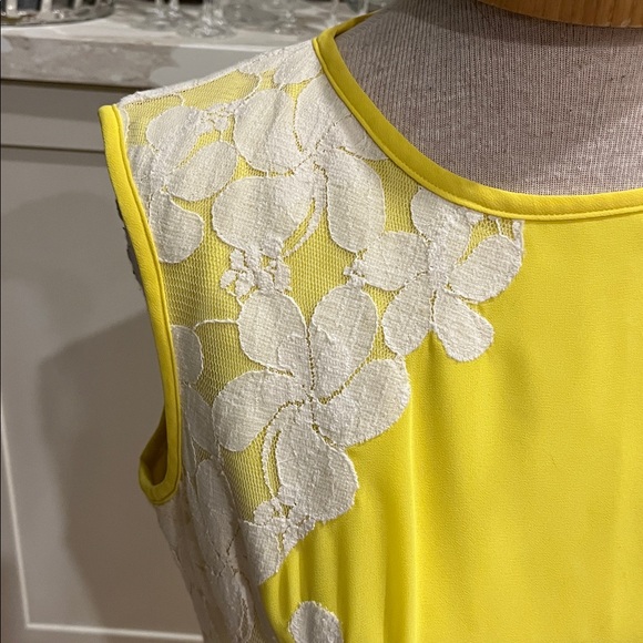 Ted Baker Vember Yellow and White Lace Mini Dress - Picture 4 of 14